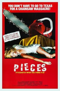 دانلود فیلم Pieces 1982422164-572476734