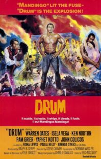 دانلود فیلم Drum 1976423508-1402678528