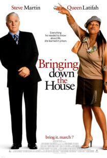 دانلود فیلم Bringing Down the House 2003424024-1955943318