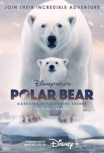 دانلود مستند Polar Bear 2022422974-1716688950