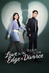 دانلود سریال Love in the Edge of Divorce426889-642202599