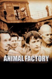 دانلود فیلم Animal Factory 2000430534-426835986