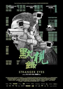 دانلود فیلم Stranger Eyes 2024431355-241527559
