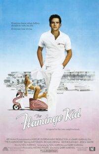 دانلود فیلم The Flamingo Kid 1984431253-1728131397