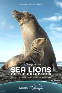 دانلود مستند Sea Lions of the Galapagos 2025431056-207443932