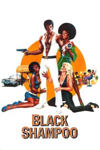 دانلود فیلم Black Shampoo 1976435042-1882070887