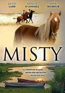 دانلود فیلم Misty 1961436665-1763934154