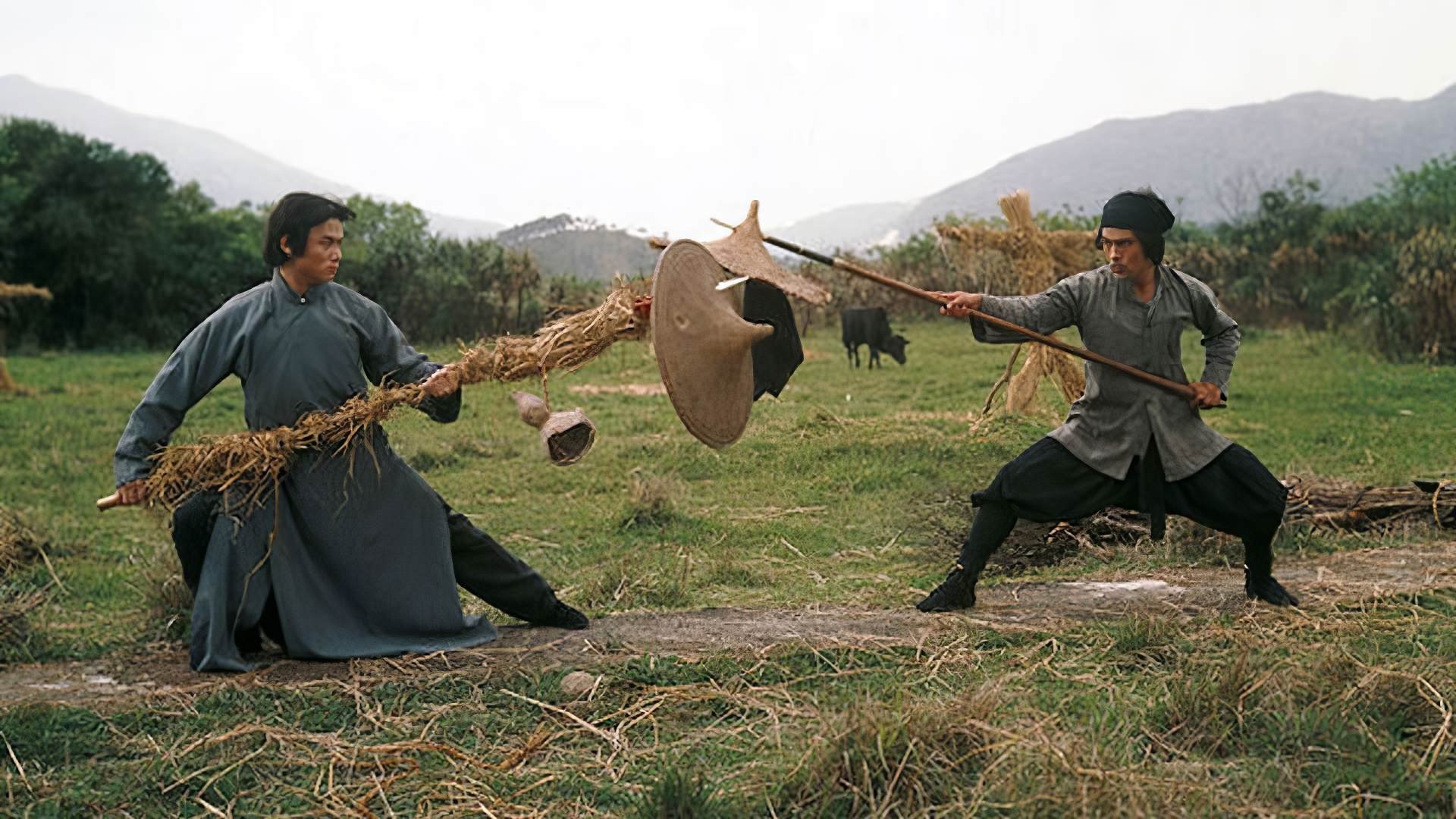 دانلود فیلم Heroes of the East 1978