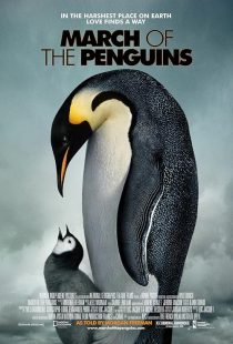 دانلود مستند March of the Penguins 2005441432-1027560