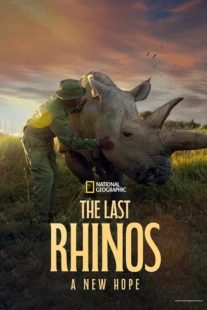 دانلود مستند The Last Rhinos A New Hope 2025439760-997326525