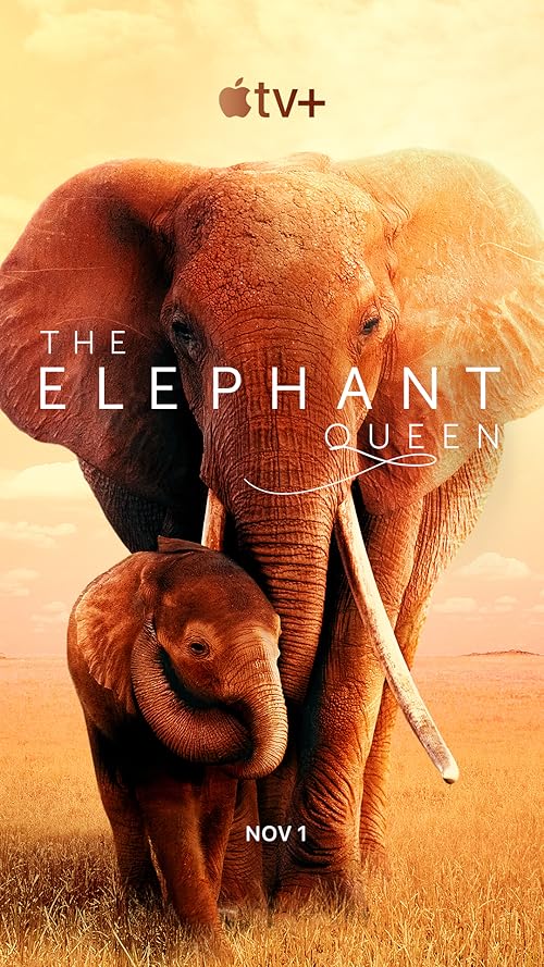 دانلود فیلم The Elephant Queen 2018