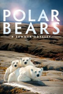 دانلود فیلم Polar Bears: A Summer Odyssey 2012441553-746567778