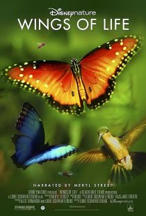 دانلود فیلم Disneynature: Wings of Life 2011441406-914673931