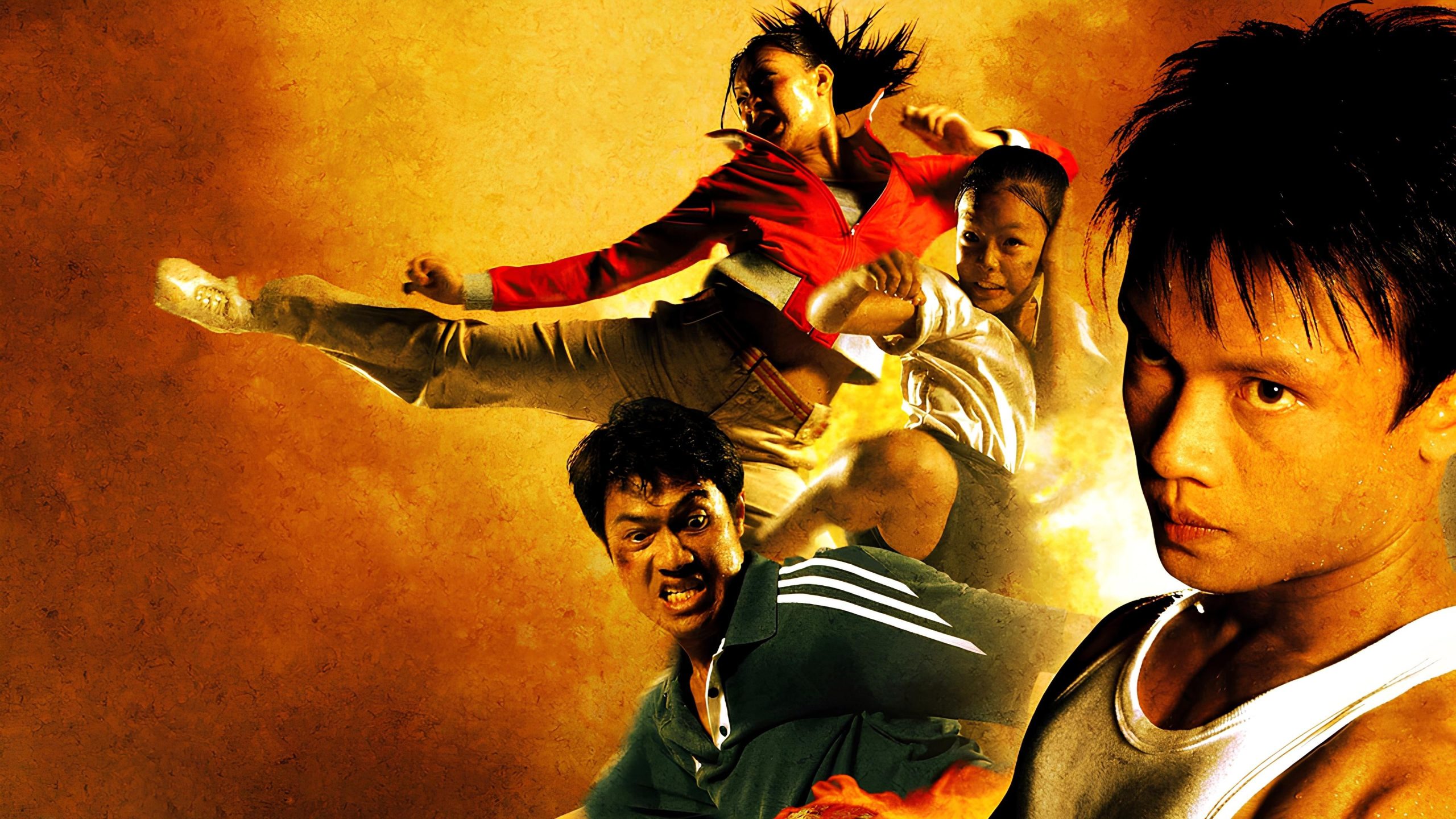 دانلود فیلم Born to Fight 2004