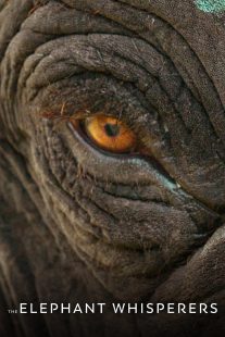 دانلود مستند هندی The Elephant Whisperers 2022442236-388992792