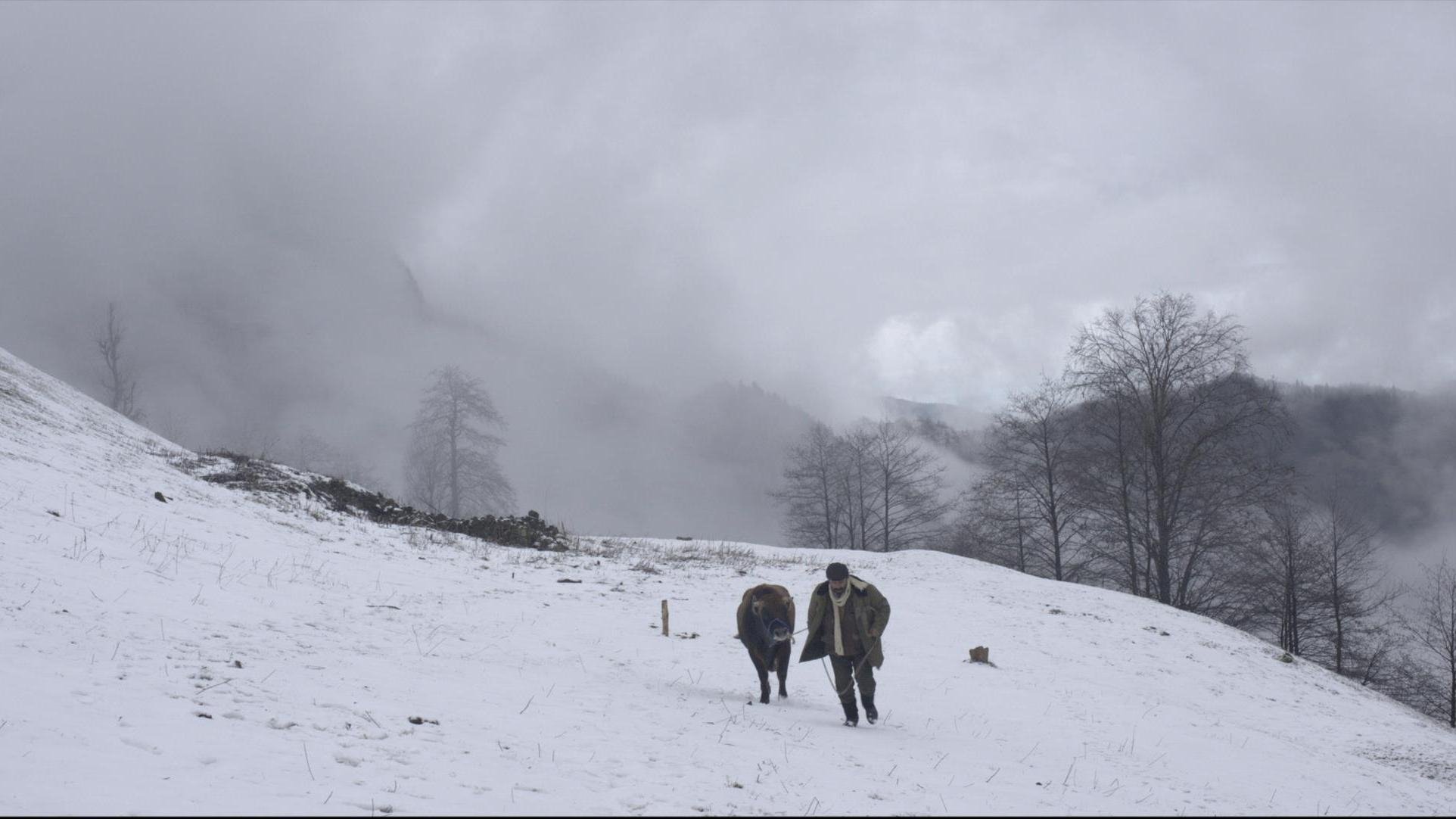 دانلود فیلم Cold of Kalandar 2015