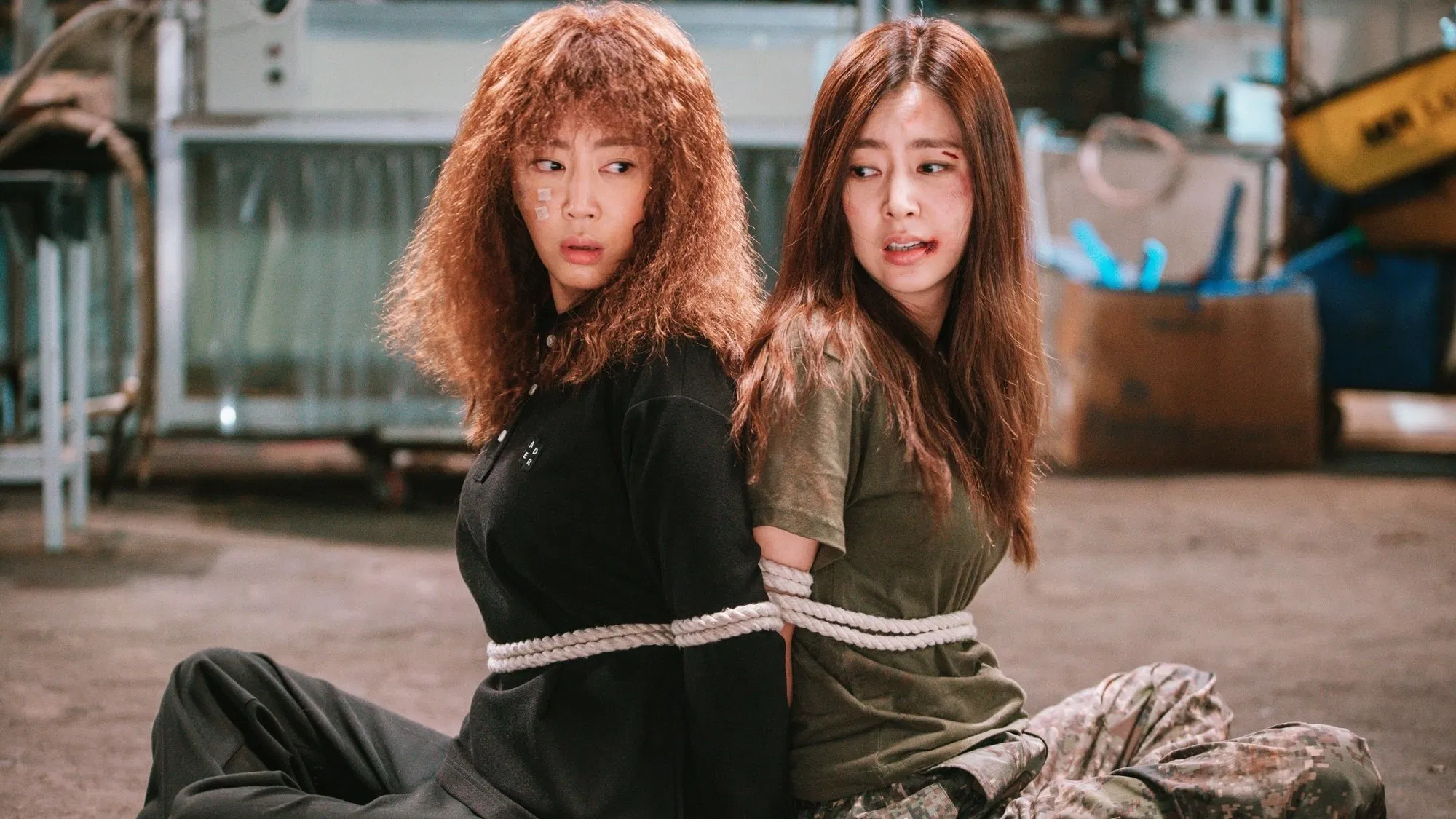 دانلود فیلم کره‌ای Part-time Spy 2017