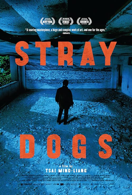 دانلود فیلم Stray Dogs 2013