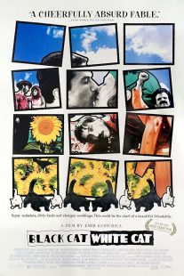 دانلود فیلم Black Cat, White Cat 1998444406-682434170