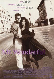 دانلود فیلم Mr. Wonderful 1993446632-471094922