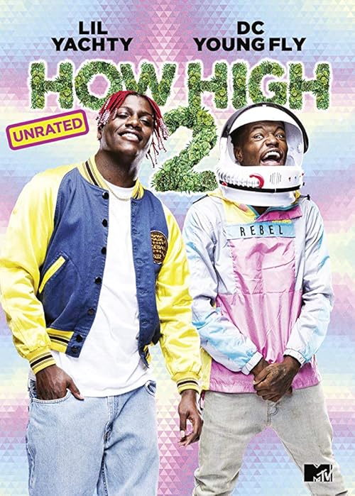 دانلود فیلم How High 2 2019