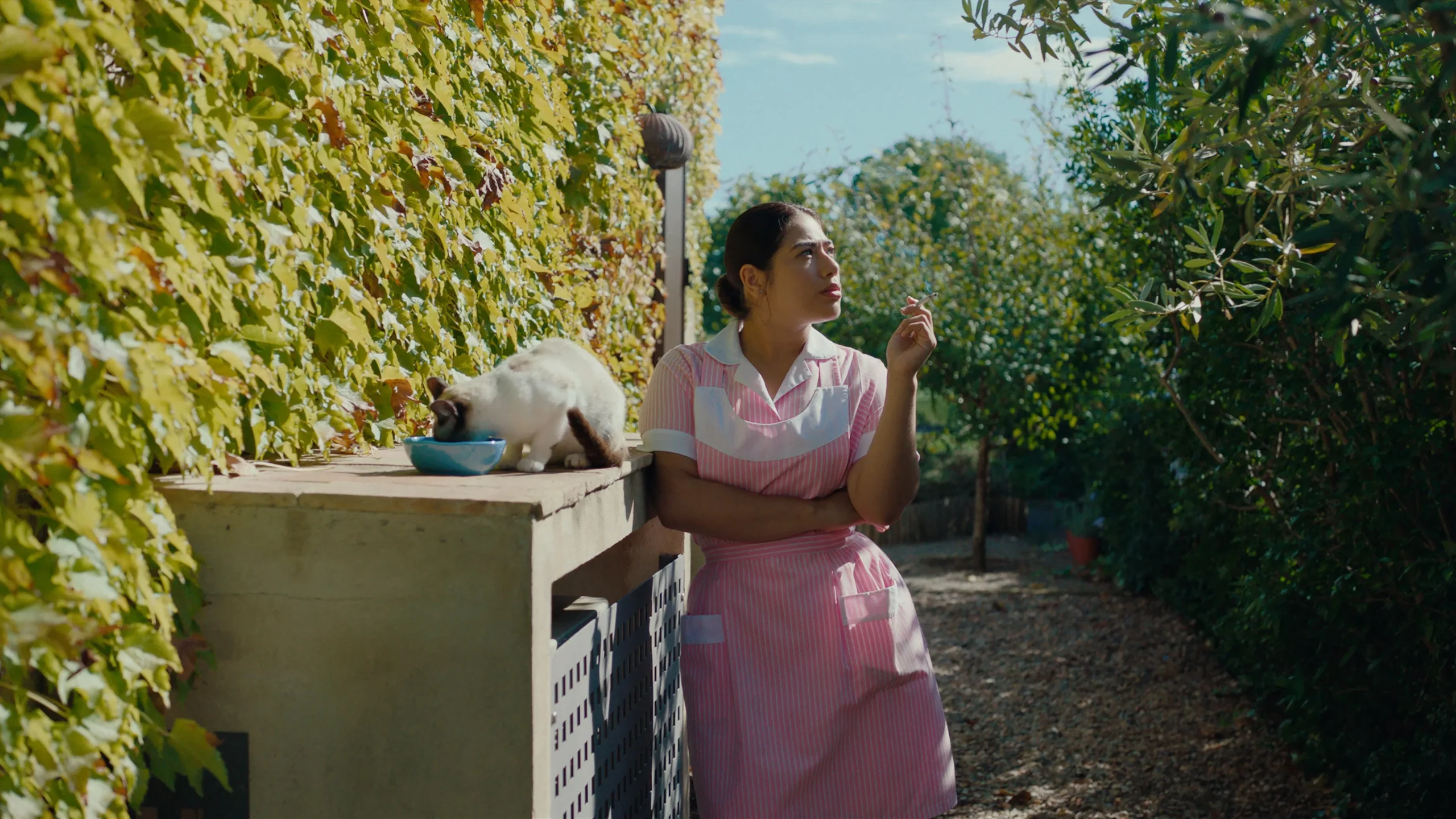 دانلود فیلم The Quiet Maid 2023